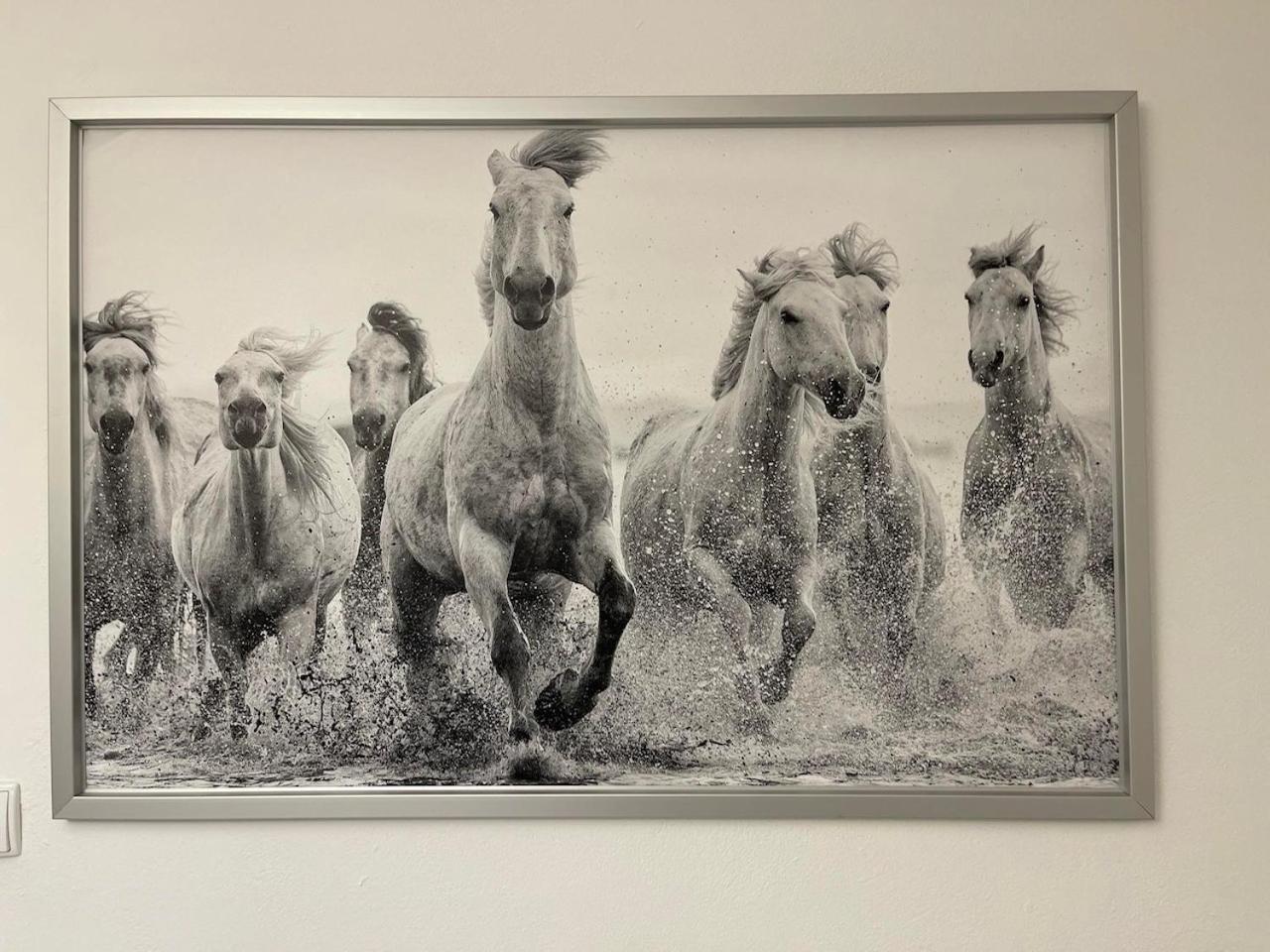 Готель Ostoya Roztocze Щебрешин Екстер'єр фото